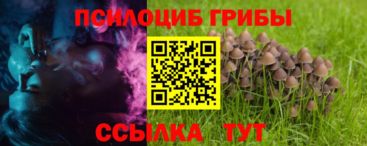 Будённовск  Псилоцибиновые грибы ЛСД  Вход с VPN 